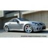 Body kit look AMG 204 per SLK R171 04-11 + led