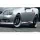Minigonne laterali ST per SLK W170 96-04