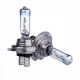 Coppia di lampadine bianche H7 Xenon Look 12V 55W