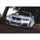 Calandra BMW F20 21 look M1 11-15 nera opaca