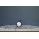 LAMPADE P13W LED POSIZIONE DIURNA 6000K