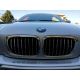 Calandra sport BMW E46 coupè-cab 99-02 cromo