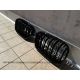 Grill BMW F20 21 look M1 11-15 black