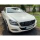 Calandra Mercedes CLS W218 GTR 11-14 nera-cromo