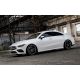 Alloy wheel CARMANI FRITZ CA17 Black Polish 19
