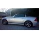 Assetto sport regolabile Mercedes SLK R170 96-04