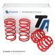 AT Technix sport springs Mercedes SLK 170 96-04