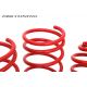 AT Technix sport springs Mercedes SLK 171 04-11