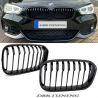 Calandra BMW F20 21 look M 15-18 nero lucido