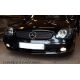 Headlights MERCEDES SLK W170 96-04 black