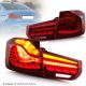 Pilotos OLED BMW 3 F30 11-18 humo