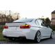 Pilotos OLED BMW 3 F30 11-18 humo