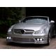 Parrilla Mercedes CLS W219 04-08 plata cromo