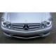 Calandra sportiva Mercedes CLK W209 02-09 silver-cromo