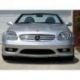 Calandra AMG Mercedes SLK 170 96-04 silver-cromo