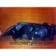 Headlight Angel Eyes Renault Megane2  02-06 black