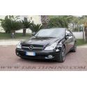 MERCEDES CLS W2019 2004-2008